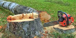 Best Firewood Processing and Delivery  in Welcome, NC